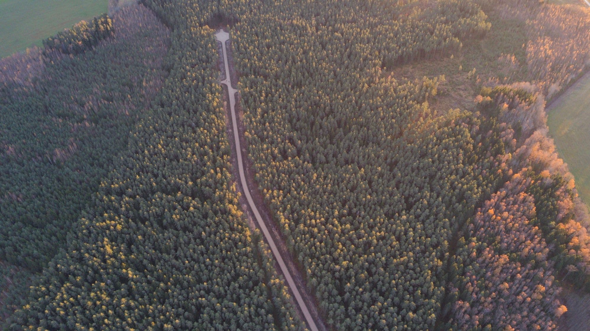 Meža ceļu būvniecība un atjaunošana, uzturēšana