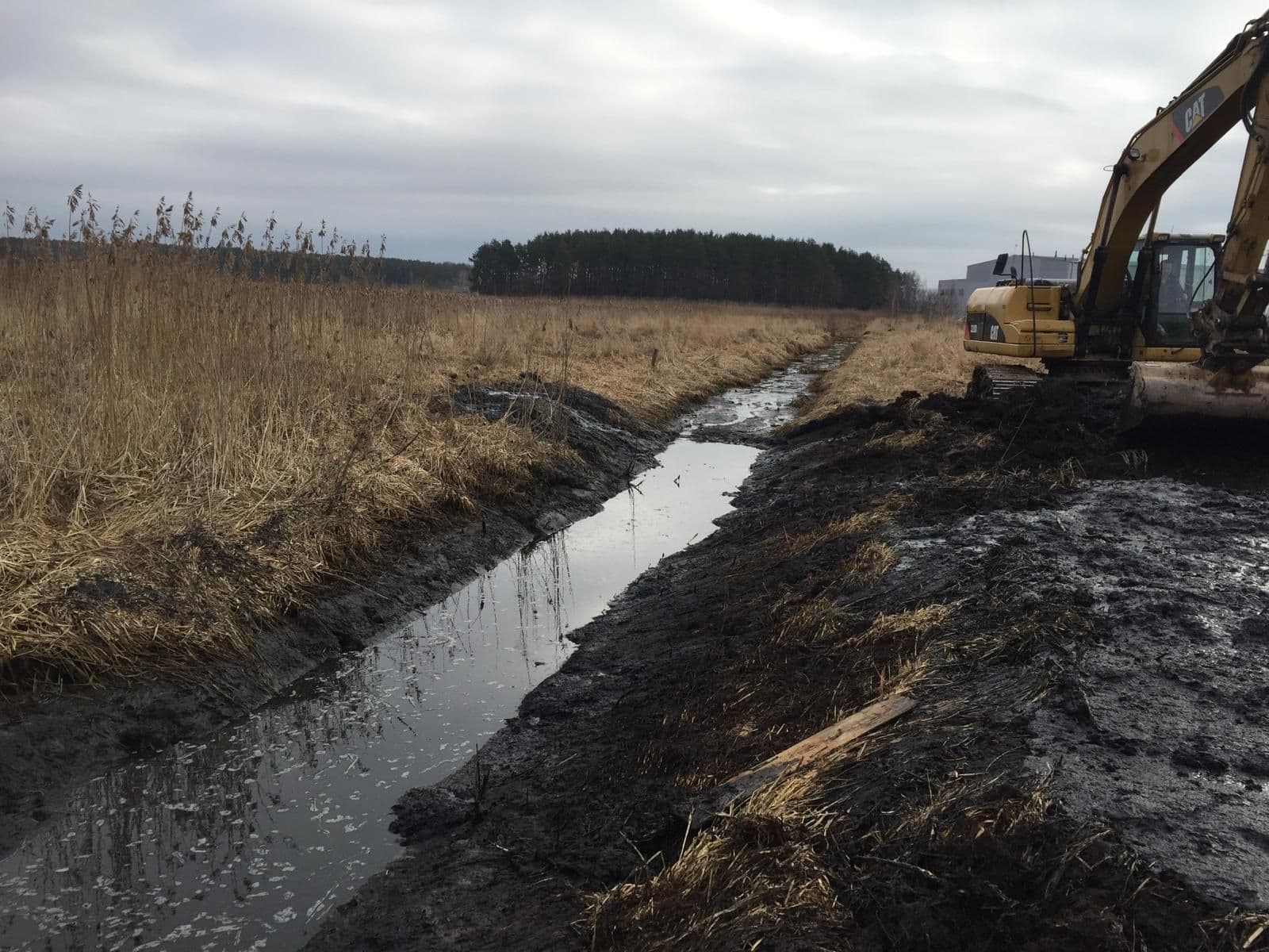 WhatsApp Image 2025-05-12 at 21.37.42.jpeg