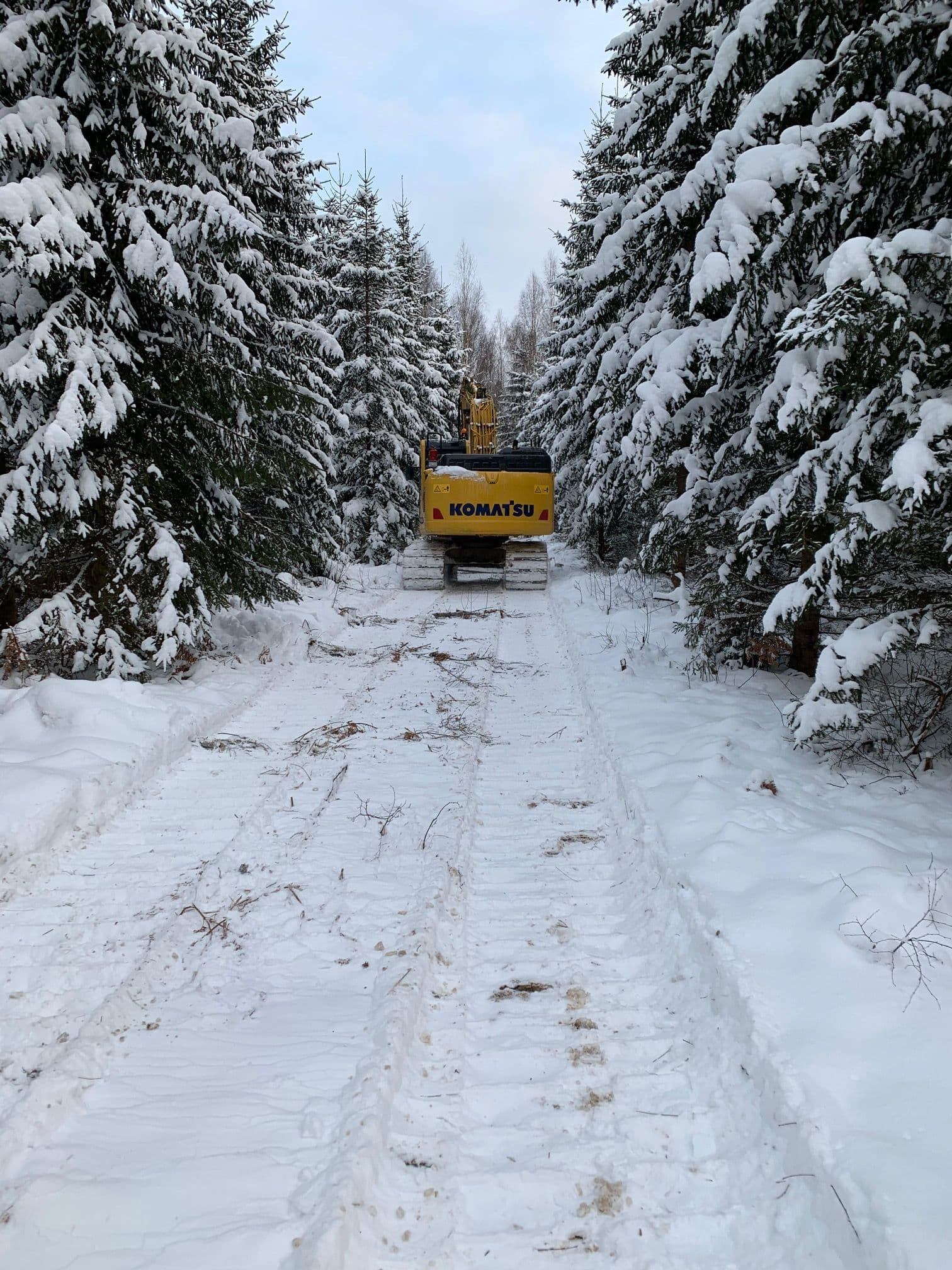 WhatsApp Image 2025-05-12 at 21.50.01.jpeg